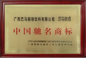 China’s Well-known Trademark