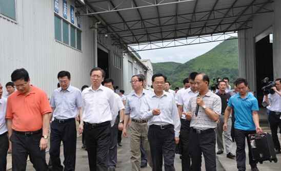 Autonomous Region Chairman Chen Wu visit Bama Lifelong